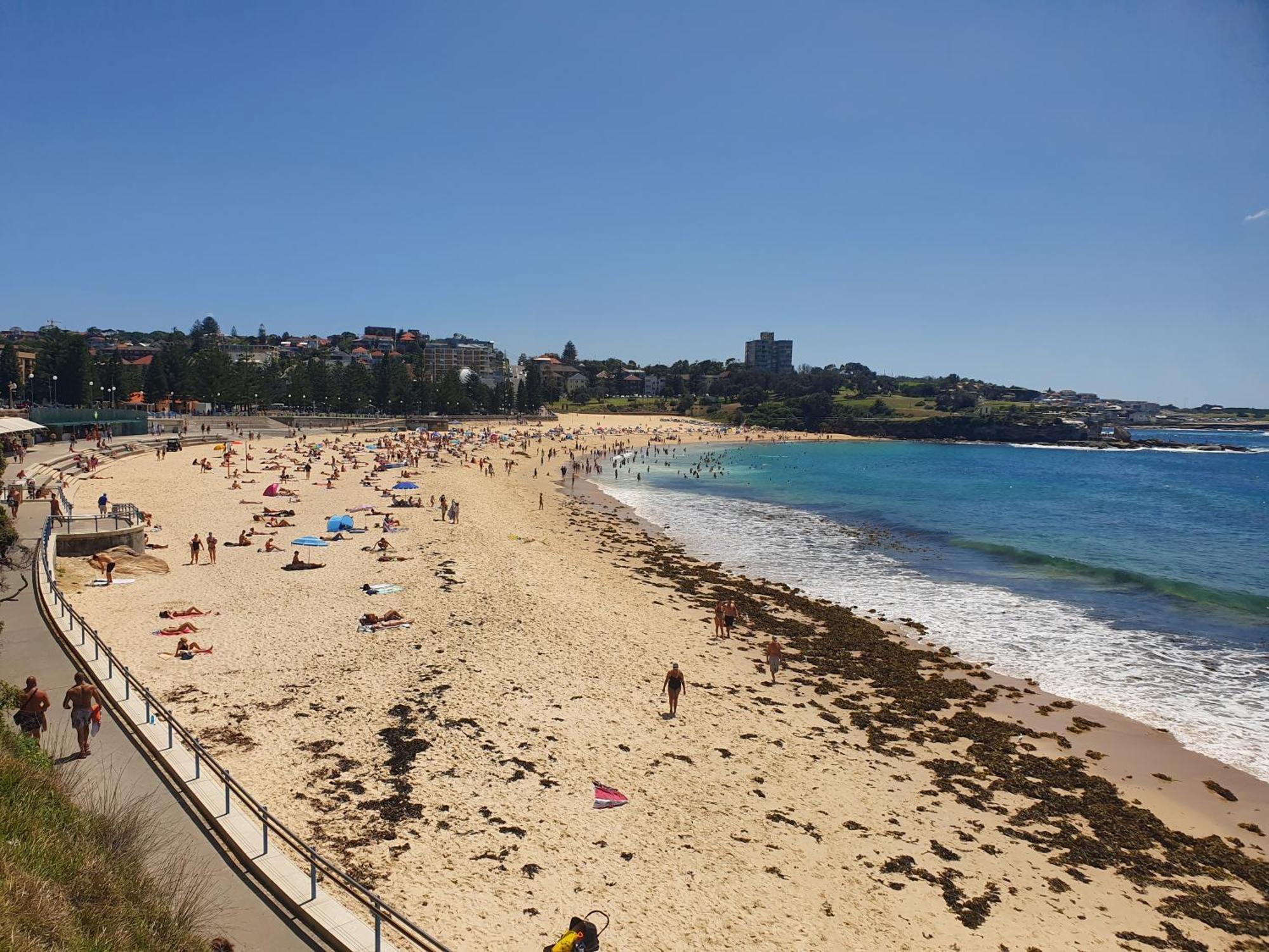 Podbed Coogee Beachside Sydney Bagian luar foto